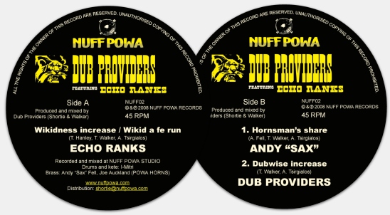 Dub Providers featuring Echo Ranks