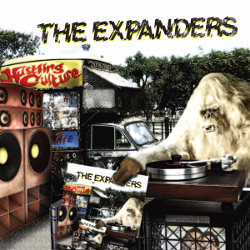 The Expanders - Hustling Culture