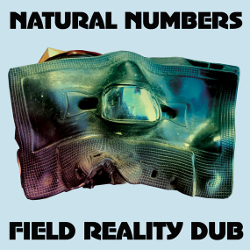 Natural Numbers - Field Reality Dub