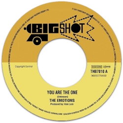The Emotions - You Are The One