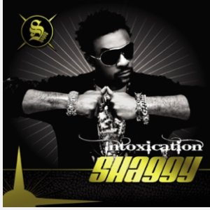 Shaggy - Intoxication