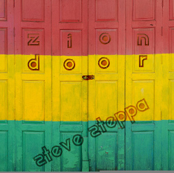 Steve Steppa - Zion Door